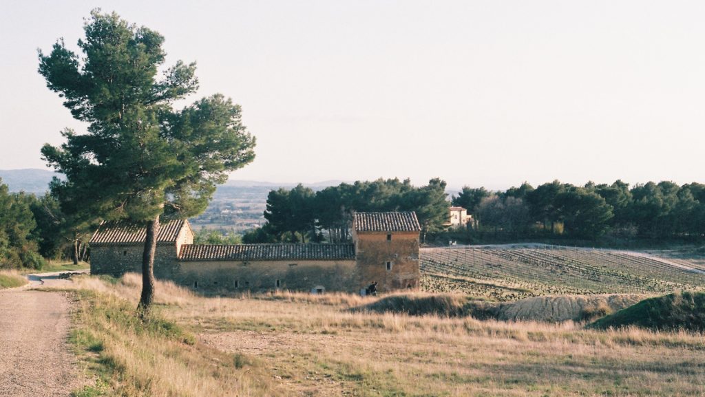 LA MADELENE _ RAMEILLE PHOTO