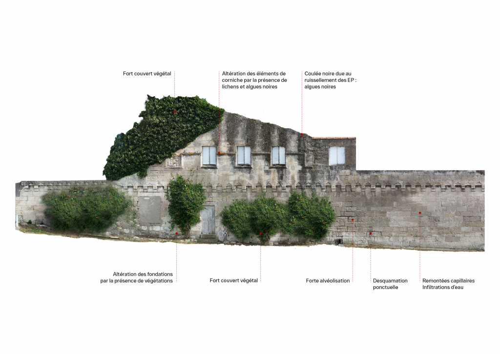 Etat Sanitaire - Rempart médiéval Arles